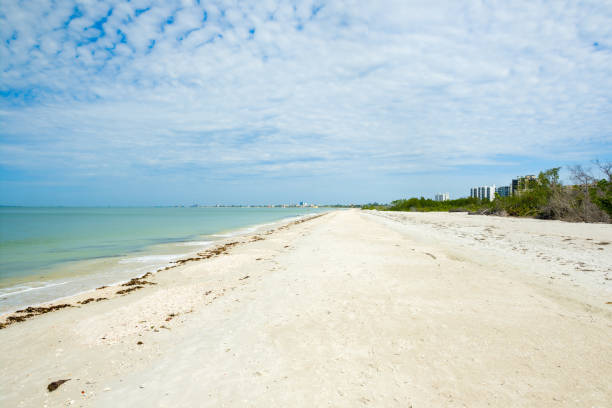 istock Fort Myers Beach 1202332388