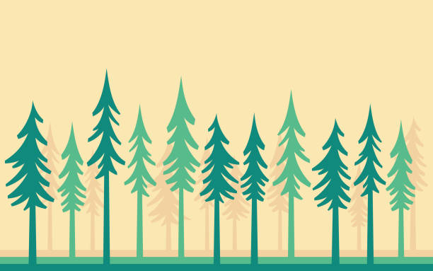 ilustrações de stock, clip art, desenhos animados e ícones de tree woodland pine tree background - uncultivated environment growth vector backgrounds
