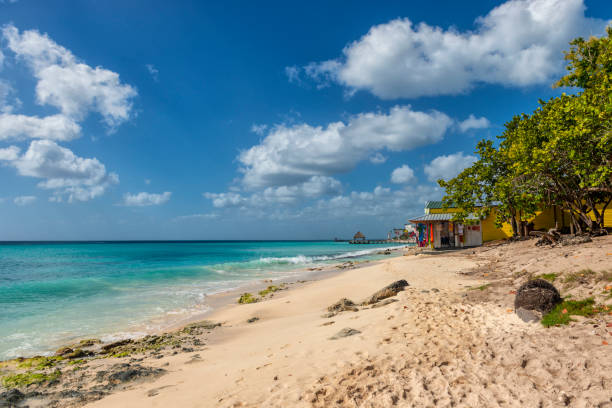 istock Beach landscape - Dominicus beach - Caribean sea 1202333731