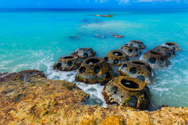 istock Caribbean sea - Artificial dam - Waterfront Landscape 1202333761