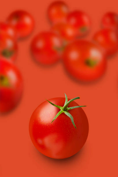 istock the most beautiful tomato 1202334964
