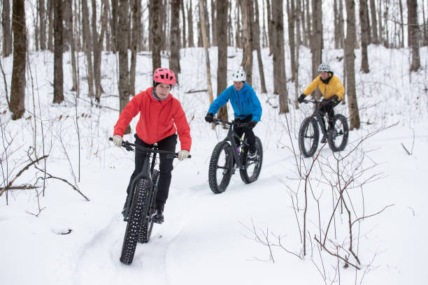 grupa przyjaciół jeżdżących na grubym rowerze w śniegu w ontario, kanada - off road vehicle obrazy zdjęcia i obrazy z banku zdjęć