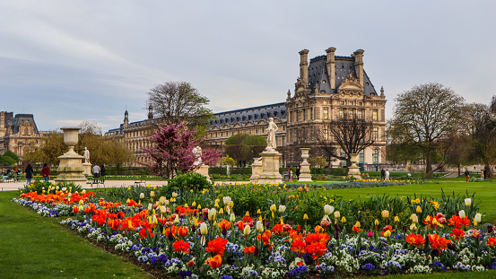 Paris / France - April 05 2019. Marvelous spring Tuileries garden and view at the Louvre Palace