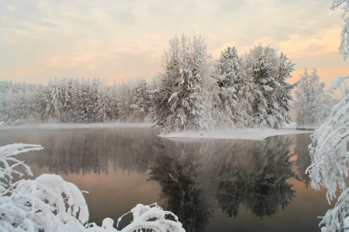 Unfrozen lake in the winter forests of Karelia, Russia. Black water and snowy brunches