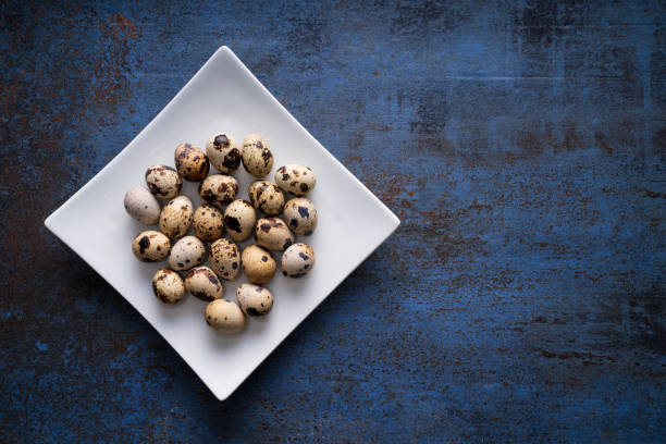 Quail eggs on a plate at blue rustic metal bckground
