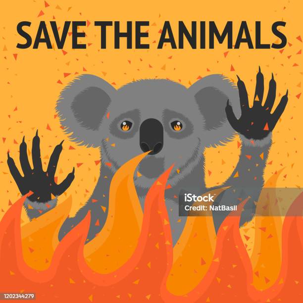 Save Animals From Fire Poster Stock Illustration - Download Image Now -  Accidents and Disasters, Animal, Animal Wildlife - iStock