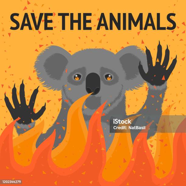 Save Animals From Fire Poster Stock Illustration - Download Image Now - Accidents and Disasters, Animal, Animal Wildlife - iStock Save Animals From Fire Poster Stock Illustration - Download Image Now - Accidents and Disasters, Animal, Animal Wildlife - iStock