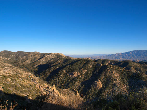 istock Desert scenery in southern Arizona 1202348357