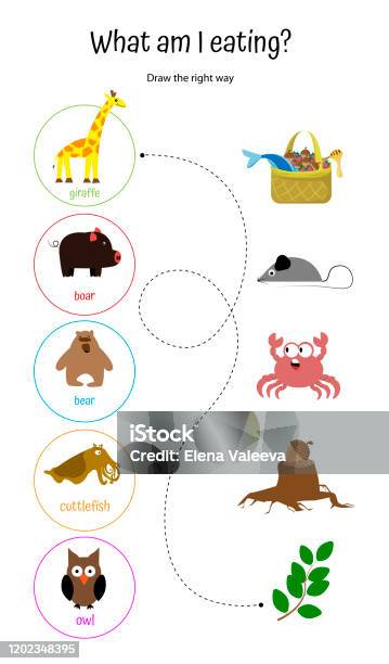 What Am I Eating Draw Path To Animals Food Educational Game Labyrinth For  Children Stock Illustration - Download Image Now - iStock