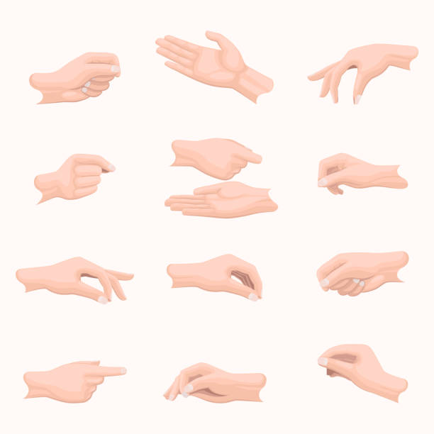ilustraciones, imágenes clip art, dibujos animados e iconos de stock de conjunto de manos realista con posiciones de los dedos en blanco - posicionamiento
