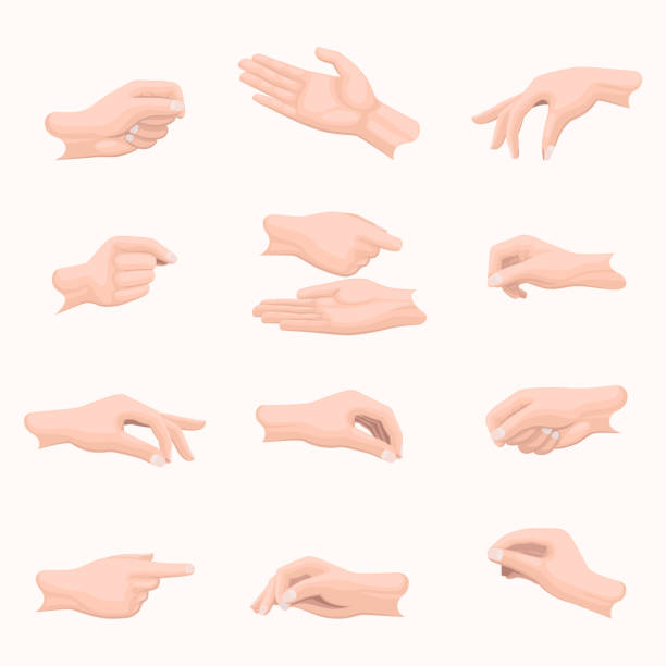 Realistic Hand Set with Fingers Positions on White Realistic hand set with fingers positions on white. Vector poster in flat design of open and closed palms, clenched and straight fingers. Hands that indicate, point or are going to take something positioning stock illustrations