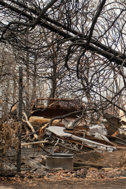 istock Australian bushfire aftermath: Burnt debris and rubble at Balmoral Village, Australia 1202349576