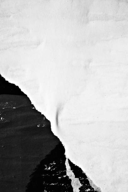istock Blank white black old ripped torn paper crumpled creased posters grunge textures backdrop backgrounds placard 1202350067