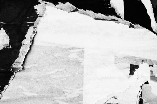 istock Blank white black old ripped torn paper crumpled creased posters grunge textures backdrop backgrounds placard 1202350086
