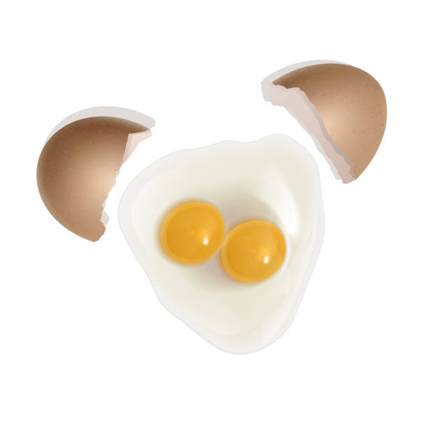 istock illustration of egg with two yolk, realistic Fried egg with with a broken shell isolated on white background, vector illustration. 1202350412