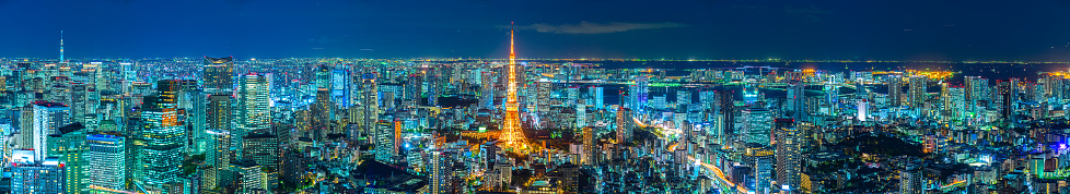 Tokyo, city skyline with the Tokyo Tower. Japan