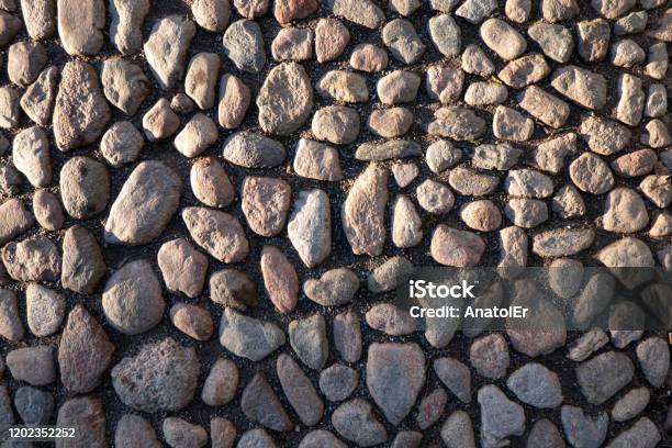 Vintage Pavement Made Of Small Cobblestones Of Gray Granite Part Of The Space Is Lit By The Sun Another Part Is In The Shade Background Texture Stock Photo - Download Image Now