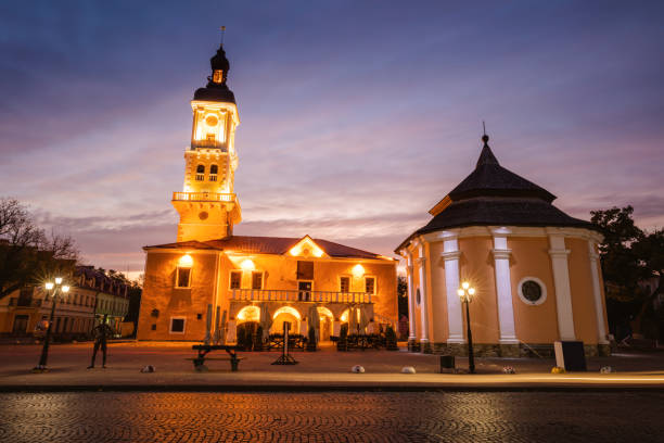 istock Kamianets-Podilskyi City Hall 1202355066