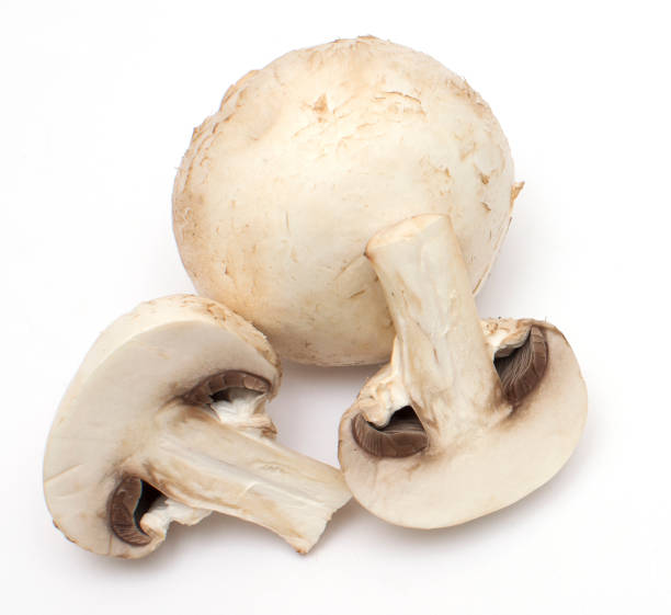 istock fresh champignons on a white isolated background close-up 1202355766