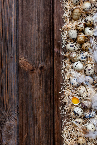 istock Quail eggs on rustic wooden background. Frame, pattern with straw and feathers. 1202357440