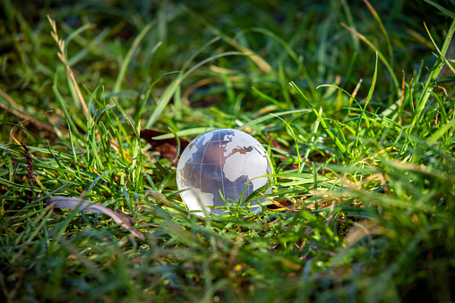 Glass globe of the planet Earth in green grass lit by a sunbeam