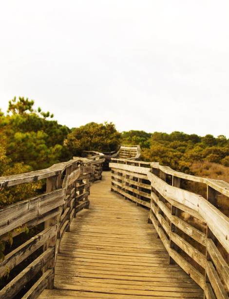 A beautiful walkway leading to Virginia Beach.
