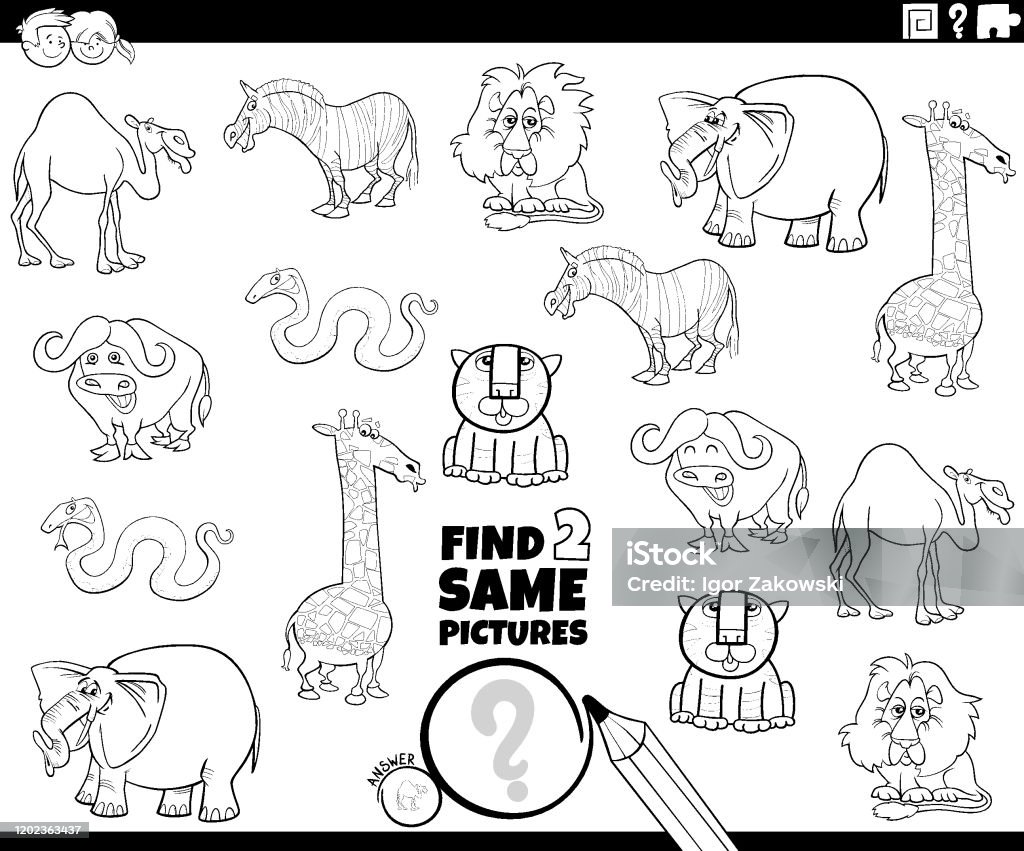 Find Two Same Animal Characters Color Book Game Stock Illustration -  Download Image Now - Accuracy, Activity, African Buffalo - iStock