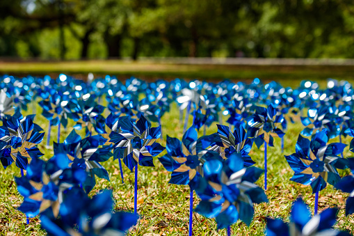 Pinwheels commemorating Child Abuse Prevention Month at the popular Audubon Park in New Orleans, Louisiana.
