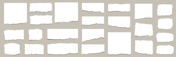 ilustrações de stock, clip art, desenhos animados e ícones de torn sheets of paper. torn paper strips set. vector illustration - cardboard texture