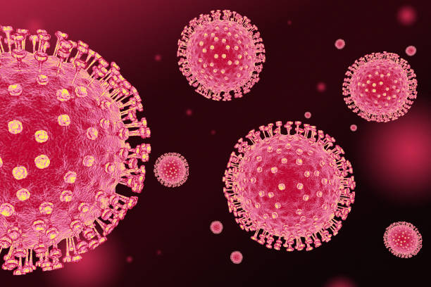 wuhan coronavirus struktur, coronaviridae, illustration - influenza a virus stock-fotos und bilder