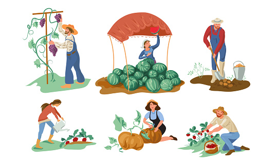 Set of different farmer people collecting natural eco food from the garden. Isolated icons set illustration on a white background in cartoon style.