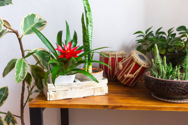 istock Houseplants on table in stylish interior. 1202369196