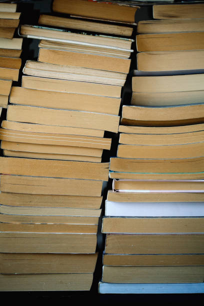 istock Piles of books 1202376033
