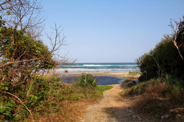 istock The way to the beach 1202376172