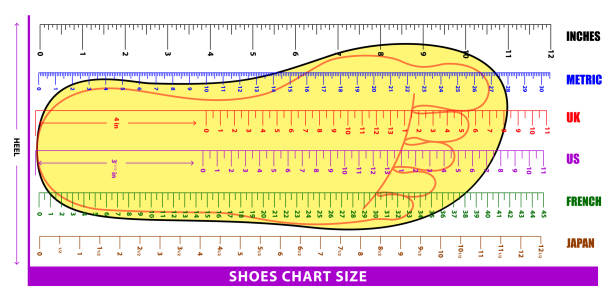 ilustrações, clipart, desenhos animados e ícones de conjunto de sapatos tamanho gráfico ou meias tamanho gráfico ou conceito de gráfico de pé de medição. eps 10 vetor, - large small scale clothing