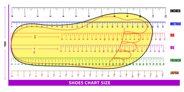 set of shoes chart size or socks chart size or measurement foot chart concept.Eps 10 vector, set of shoes chart size or socks chart size or measurement foot chart concept.Eps 10 vector, easy to modify high heel footprint stock illustrations