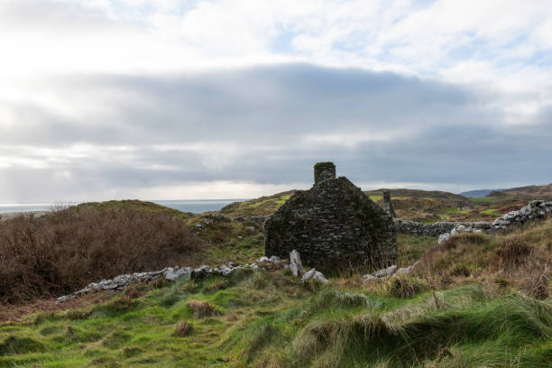 istock Countryside House Ruins 1202377601