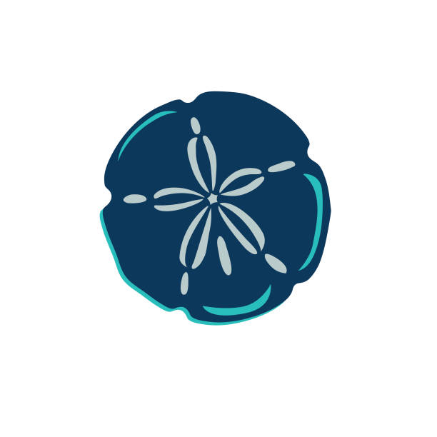 Nautical Icon - Sand Dollar Simple beach icon in flat colors sand dollar stock illustrations