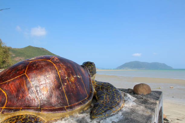 istock A trip from north to south Vietnam in 3 Weeks. 1202383459