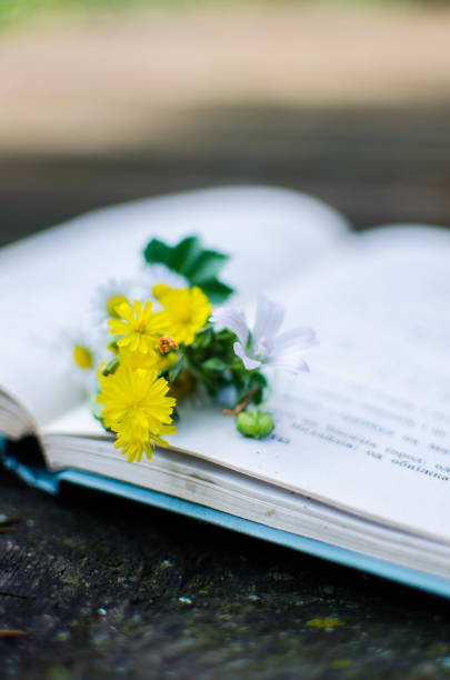 istock Open book and flowers for a good rest 1202383566