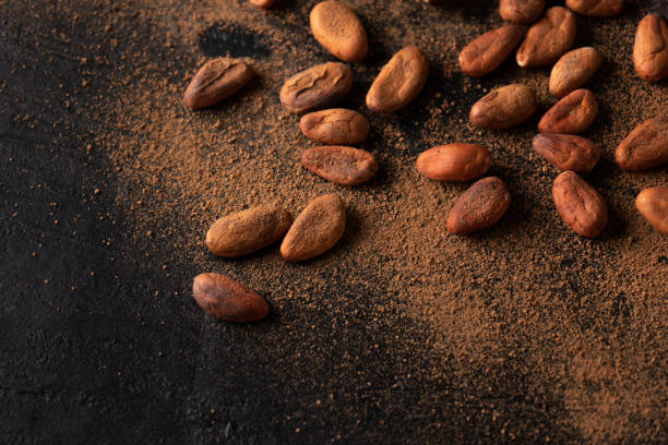 istock Cacao beans and chocolate on dark background 1202388104