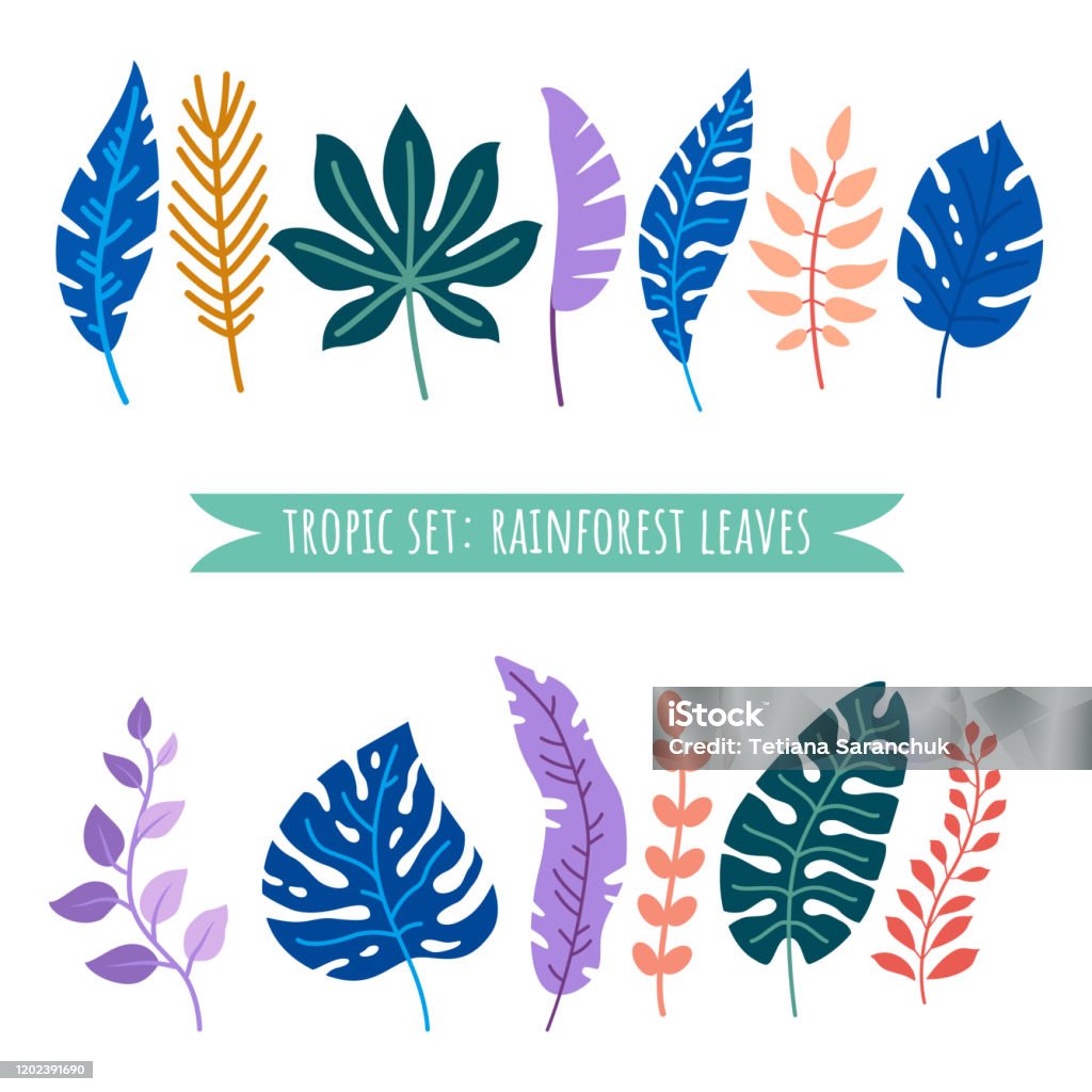 Set Of Tropical Leaves Vector Cartoon Rainforest Leaves Isolated Stock  Illustration - Download Image Now - iStock