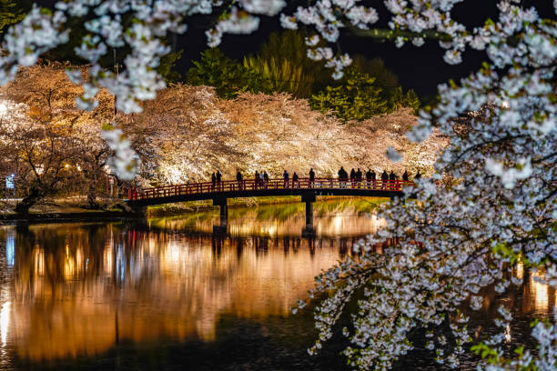 hirosaki parque cerezo flor matsuri festival iluminar por la noche en la temporada de primavera - prefectura de aomori fotografías e imágenes de stock