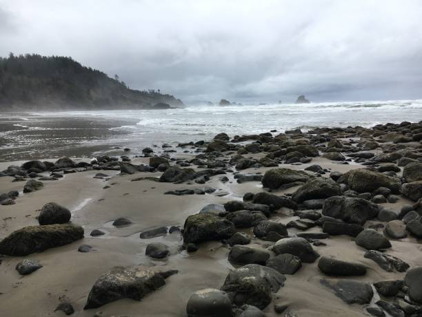 istock Smooth Dark Rocks on Indian Beach on the Pacific Ocean in Seaside Oregon 1202398528