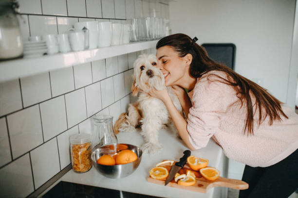 istock We have to eat healthy 1202399596