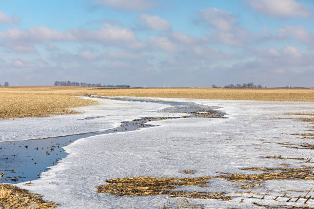 겨울 비가 내린 후 침수된 농장 들판은 기온이 영하로 떨어지면서 물이 얼음으로 변했습니다. - storm corn rain field 뉴스 사진 이미지