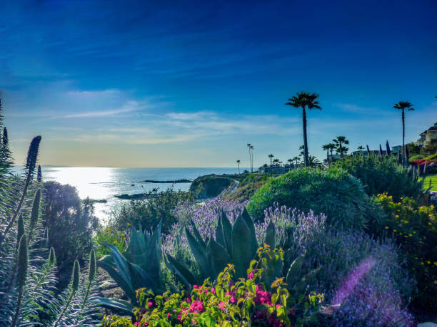 istock Panorama Corona del Mar 1202404492
