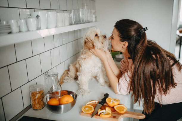 istock We have to eat healthy 1202404572