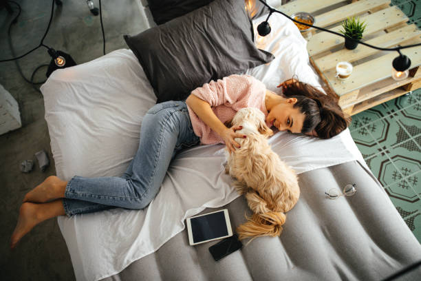 istock Young women playing with dogs in her room 1202406242