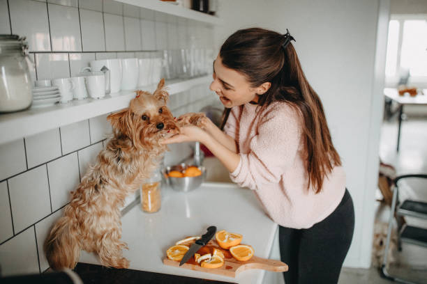 istock We have to eat healthy 1202406280
